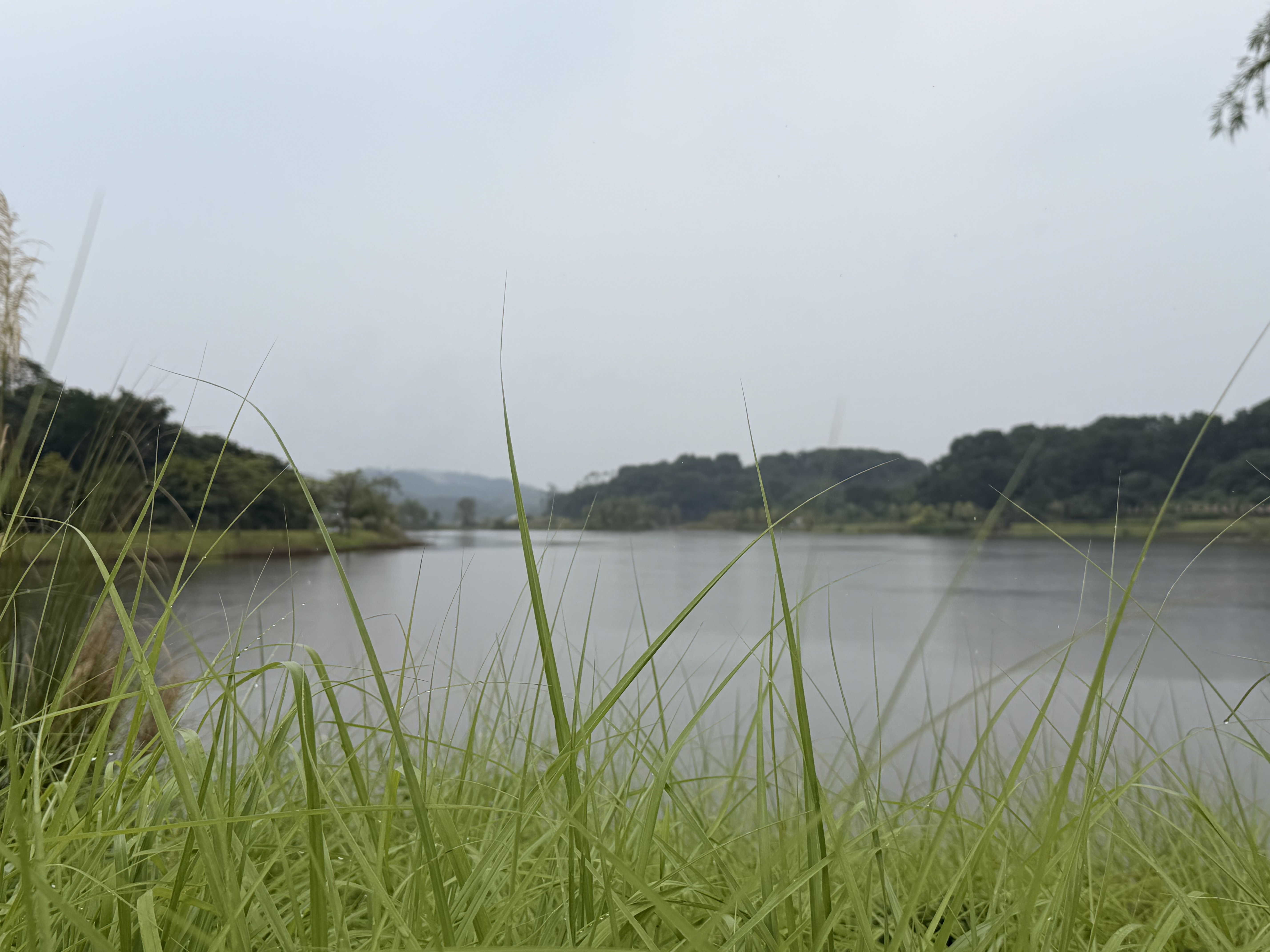 迳湖