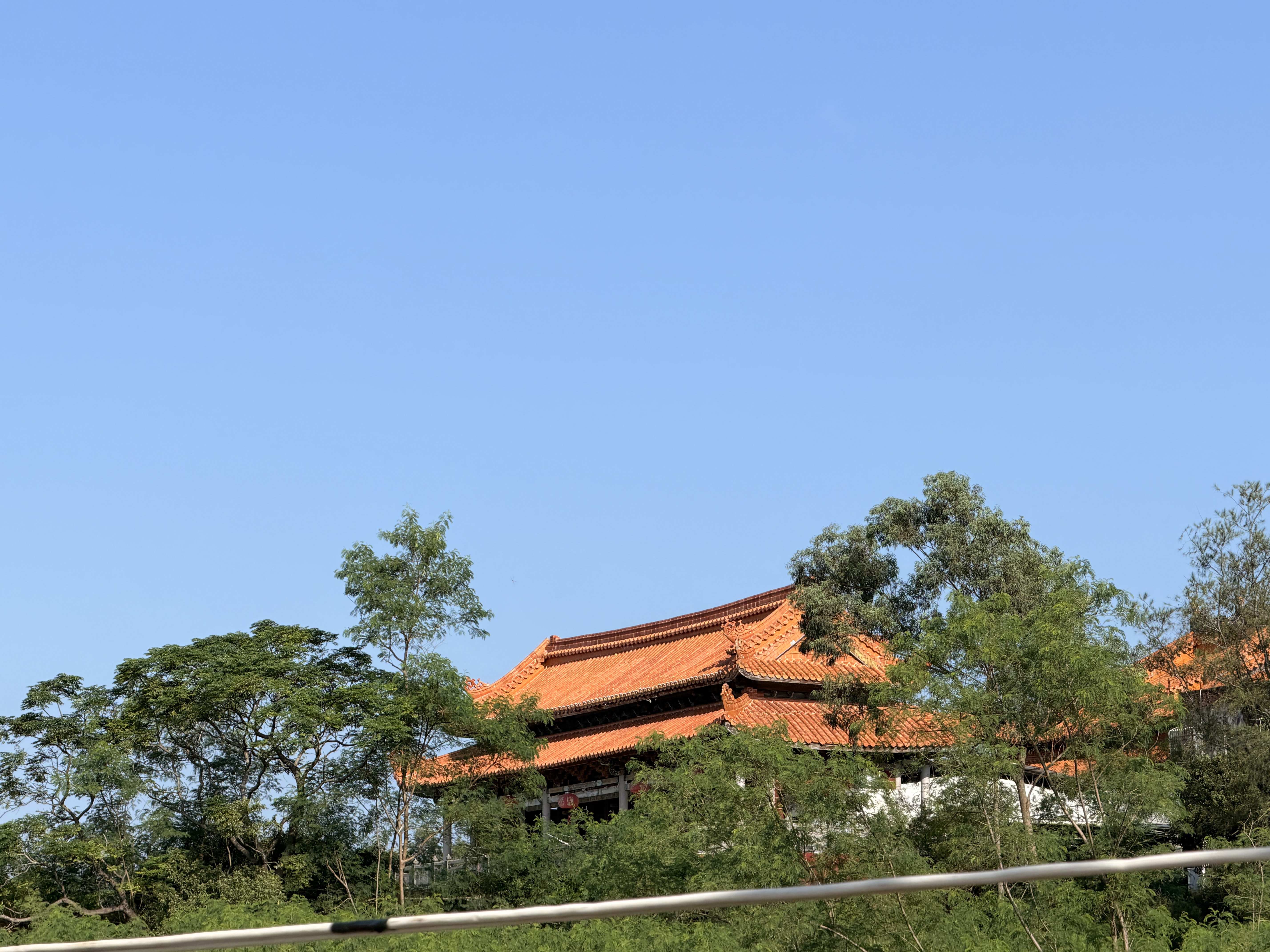 今日安好，便是安好